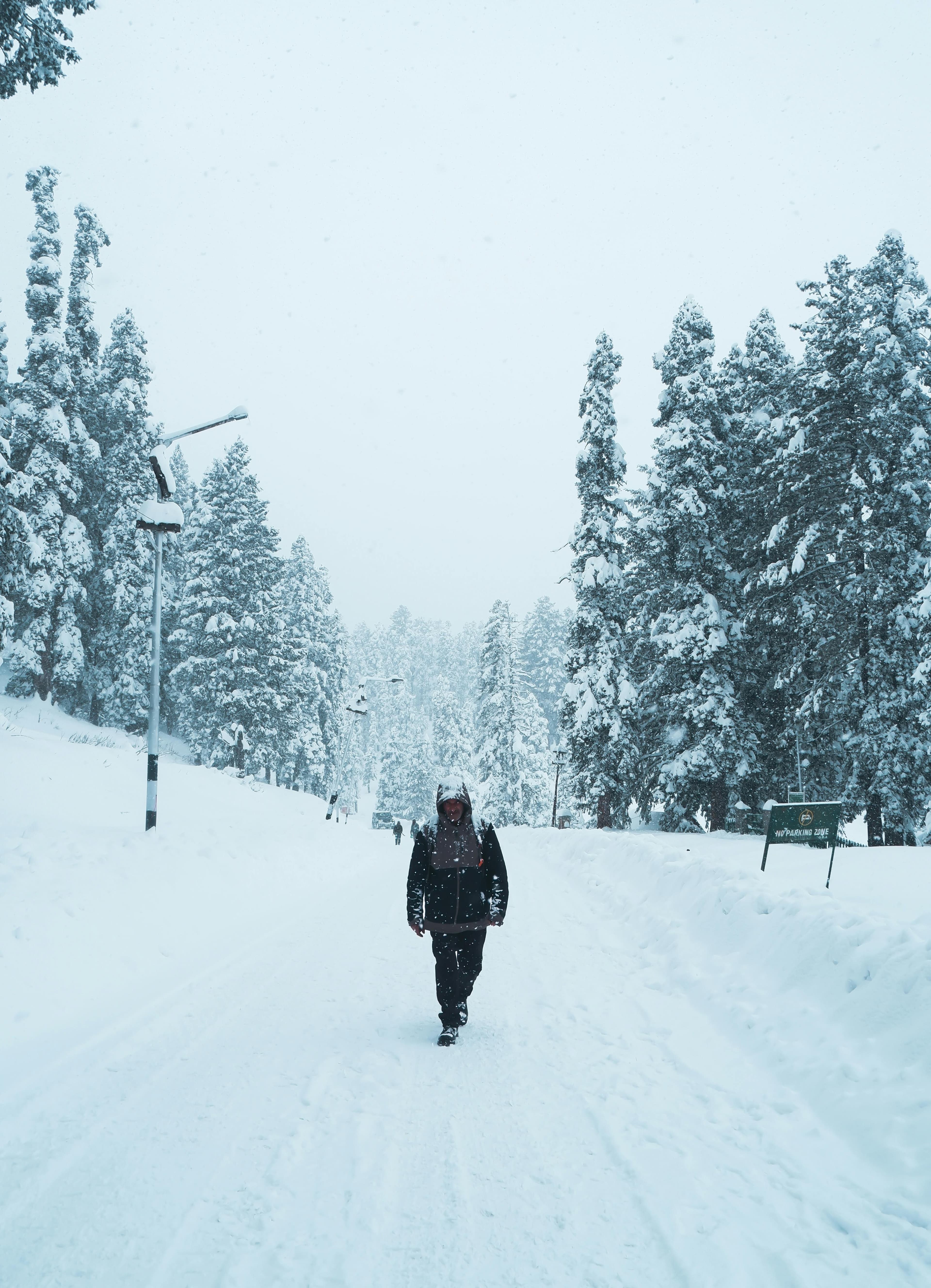 Kashmir Scenic 5D view 2